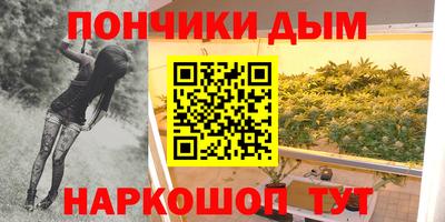индика Мариинск