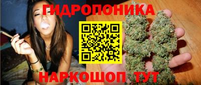 индика Мариинск