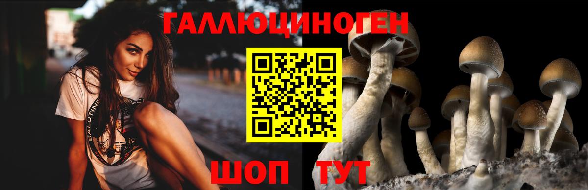 Псилоцибиновые грибы Magic Shrooms  Псилоцибиновые грибы GOLDEN TEACHER  Усолье-Сибирское  Вход с VPN 